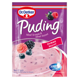 Puding Orman Meyveli